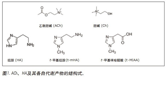 CORTECS UPLC HILICɫV_l(f)һN܉XҺ(CSF)đAMxaͬrMжUPLC/MS/MSy