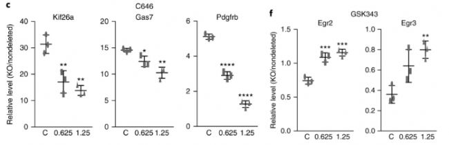 RNA-seq分析敲除Mettl14導(dǎo)致組蛋白修飾在全基因組范圍內(nèi)發(fā)生改變,從而影響基因表達(dá)