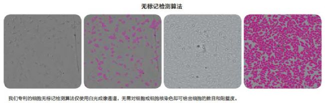 細(xì)胞成像系統(tǒng)