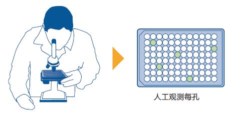 細(xì)胞生長(zhǎng)分析