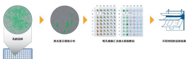 細(xì)胞生長(zhǎng)分析